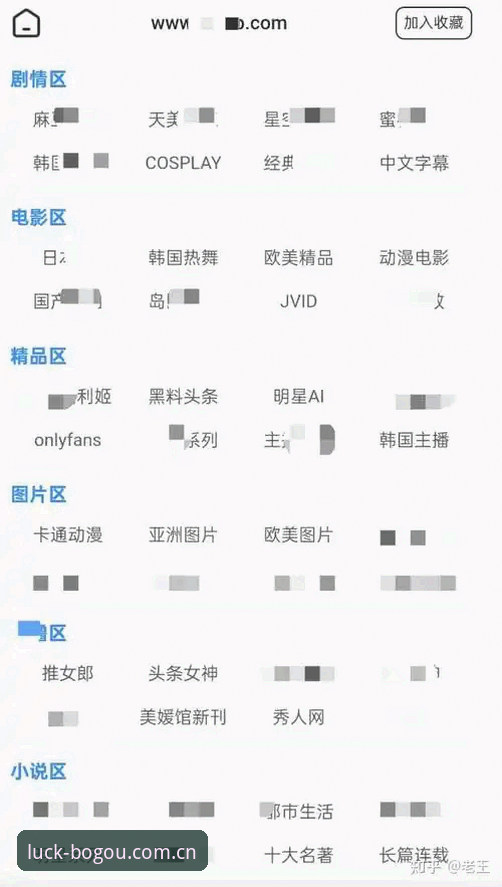 博狗网新版体验前必看的3个关键问题——关于Bogou官方网址CN2026最新版本，你得先想清楚这两件事
